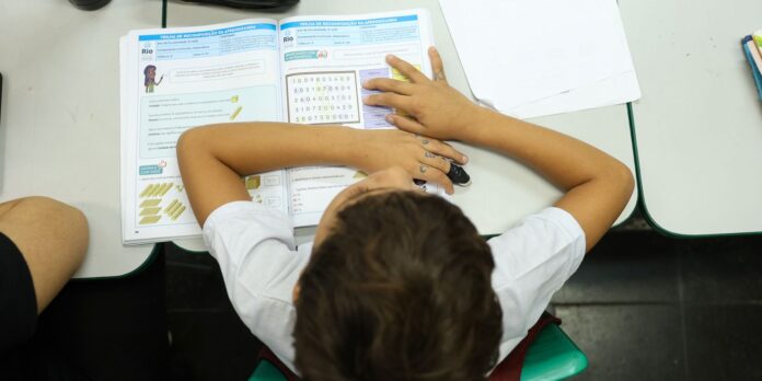 Censo Escolar: resultado preliminar já pode ser acessado no site do Inep